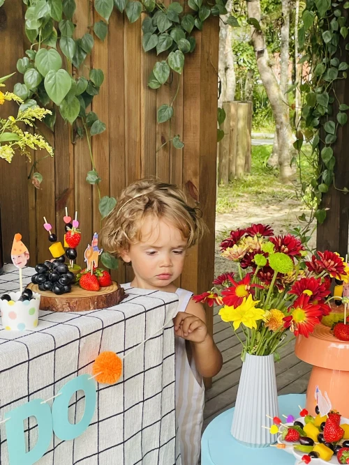 Decoração de festa Animais — Festaria