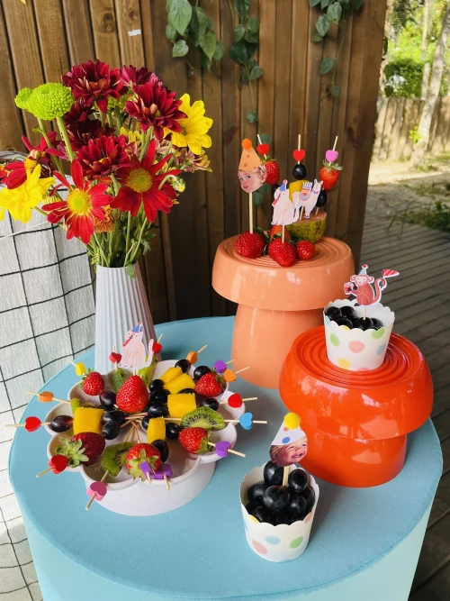 Decoração de festa Animais — Festaria