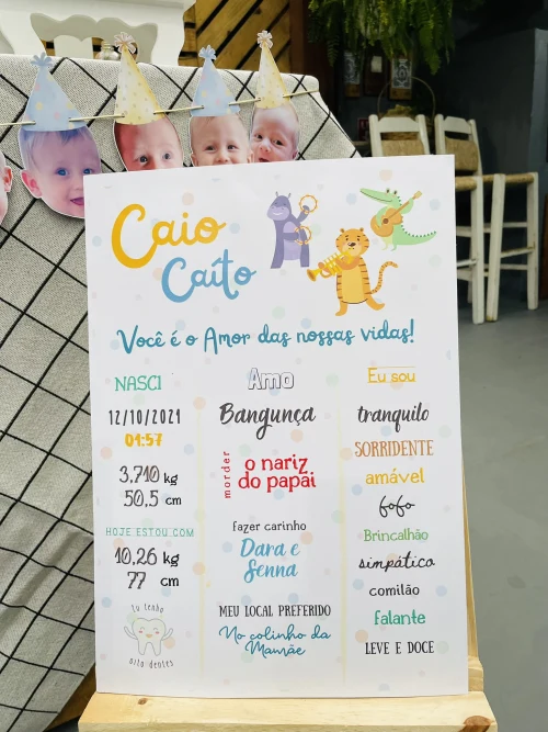 Decoração de festa Animais — Festaria