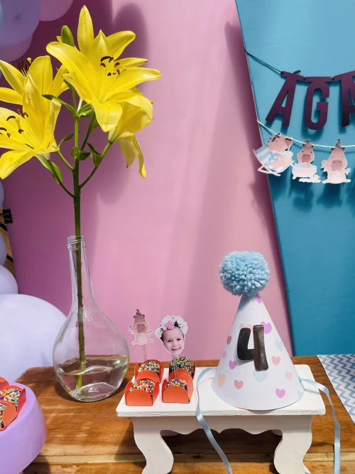 Decoração de festa Capivara — Festaria