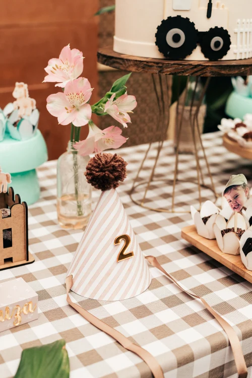 Decoração de festa Fazendinha — Festaria