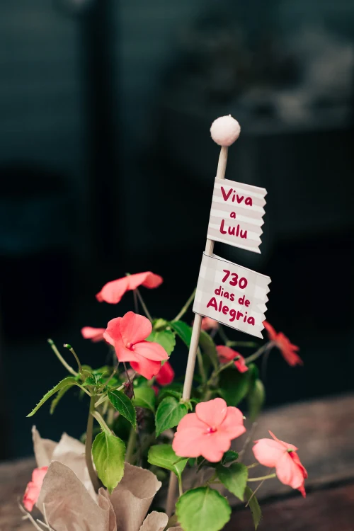 Decoração de festa Fazendinha — Festaria