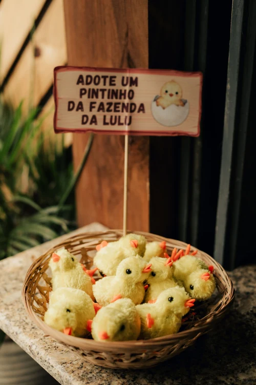 Decoração de festa Fazendinha — Festaria