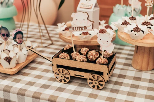 Decoração de festa Fazendinha — Festaria