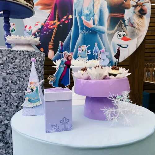 Decoração de festa Frozen — Festaria