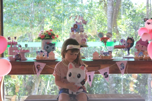 Decoração de festa Gaby Gabby — Festaria