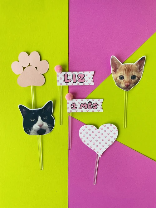 Decoração de festa Gatos — Festaria
