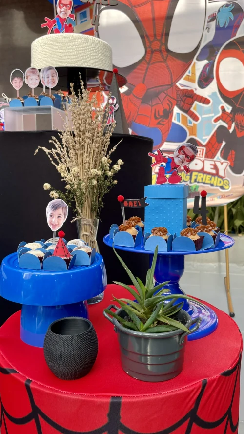 Decoração de festa Homem Aranha — Festaria