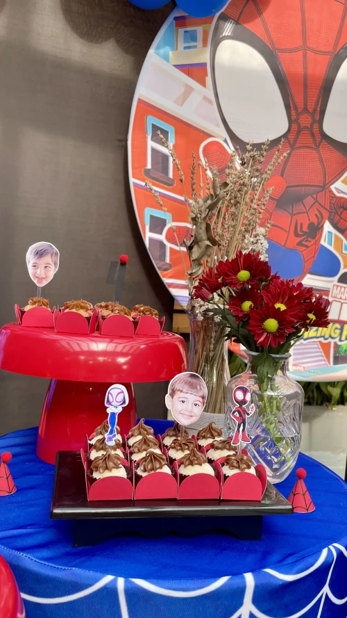 Decoração de festa Homem Aranha — Festaria
