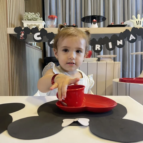 Decoração de festa Minnie — Festaria