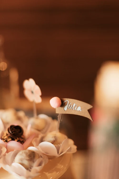 Decoração de festa Moana — Festaria