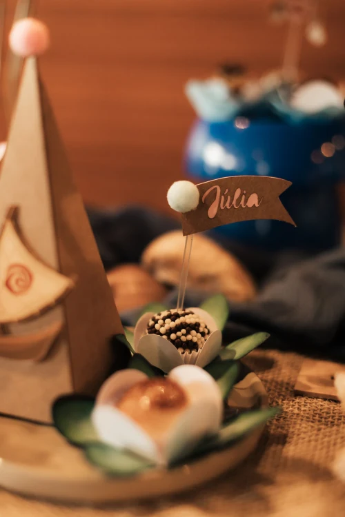 Decoração de festa Moana — Festaria