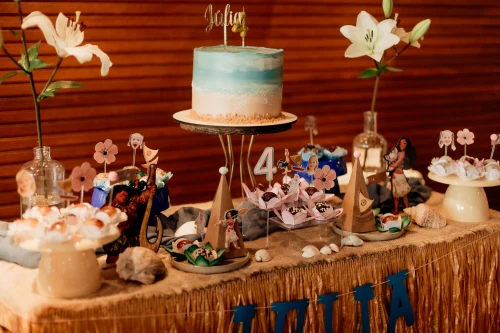 Decoração de festa Moana — Festaria