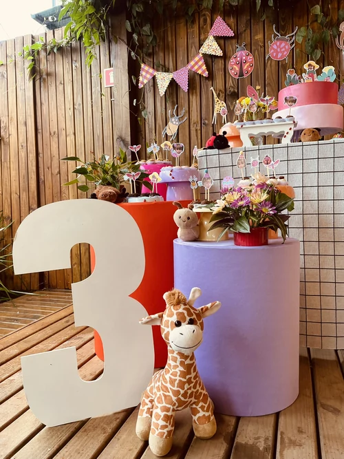 Decoração de festa Onça — Festaria