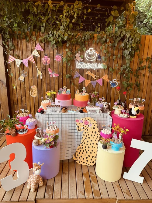 Decoração de festa Onça — Festaria