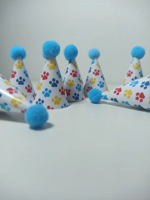 Decoração de festa Patrulha Canina — Festaria
