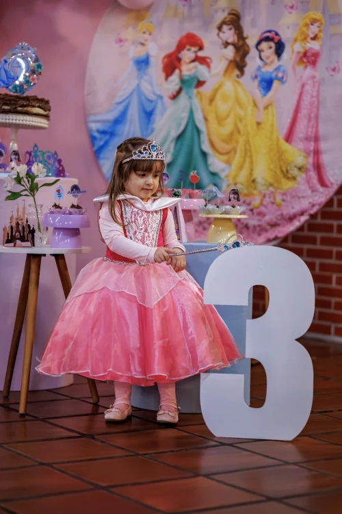 Decoração de festa Princesas — Festaria