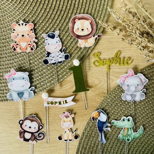 Decoração de festa Safari — Festaria