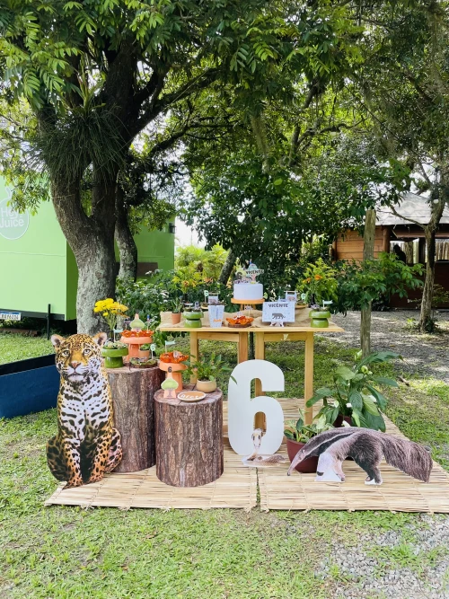 Decoração de festa Selva / Natureza — Festaria