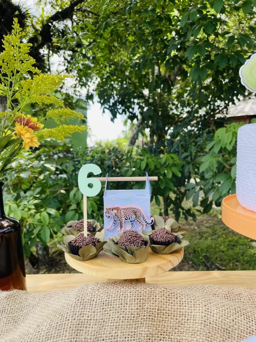 Decoração de festa Selva / Natureza — Festaria