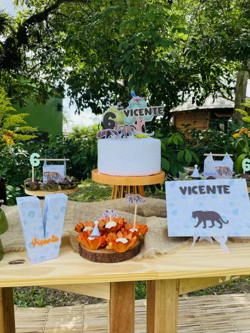 Decoração de festa Selva / Natureza — Festaria
