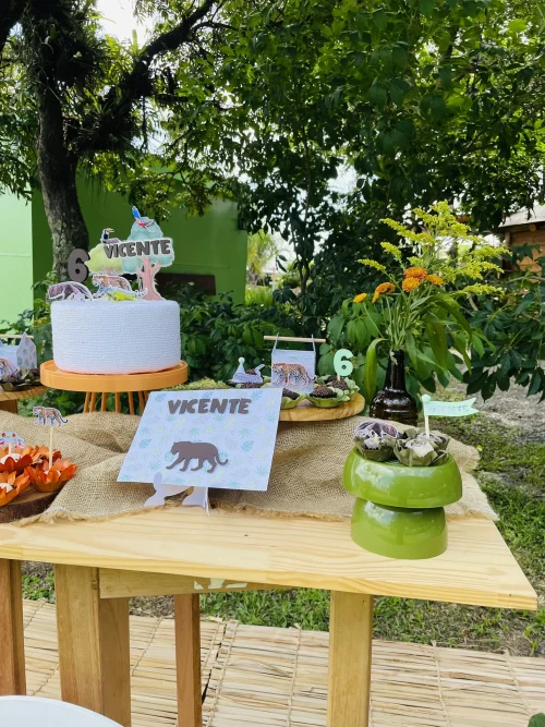 Decoração de festa Selva / Natureza — Festaria