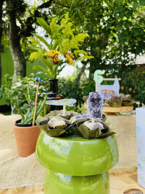 Decoração de festa Selva / Natureza — Festaria