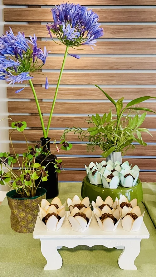Decoração de festa Trevo — Festaria