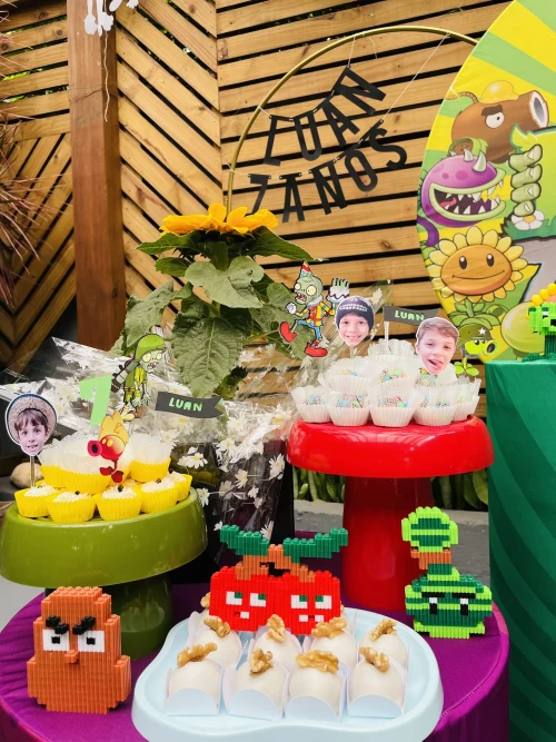 Decoração de festa Zombies vs Plants — Festaria